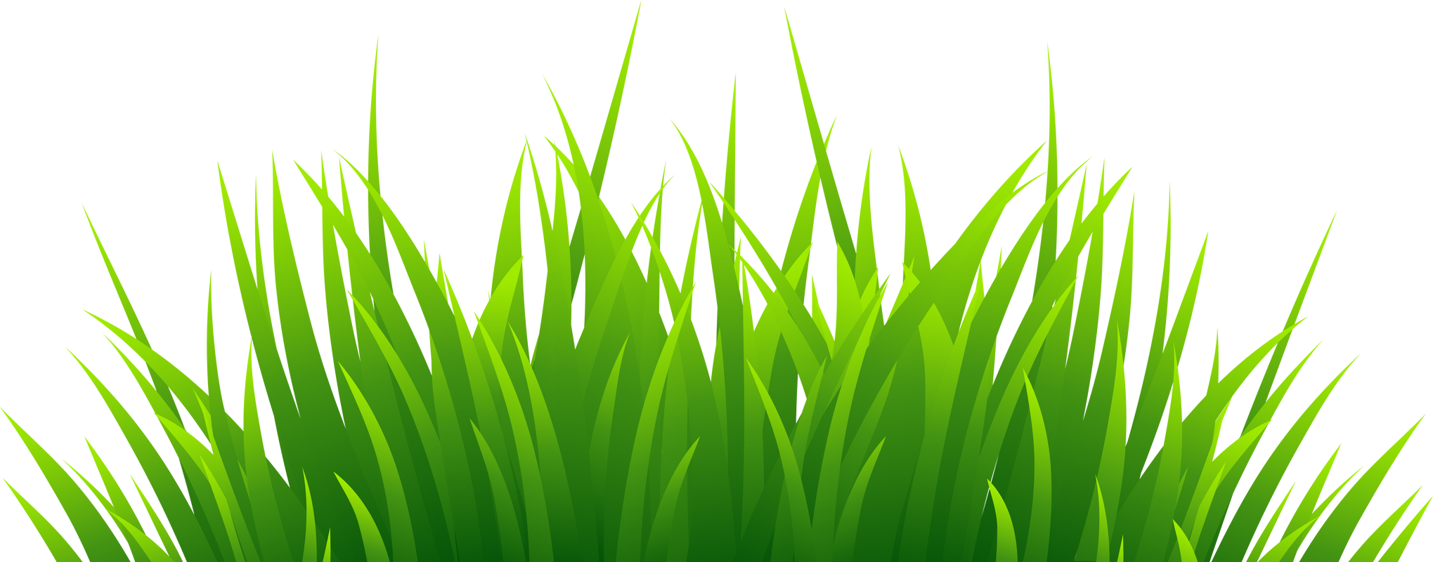 3D Green Grass